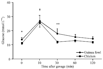Image for - Glucose Tolerance and Lipid Absorption in Guinea Fowl (Numida meleagris) and Domestic Fowl (Gallus gallus var. domesticus)
