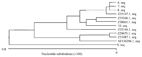 Image for - Prevalence of the “High-pathogenicity Island” in Escherichia coli Isolated from Clinical and Subclinical Bovine Mastitis in China