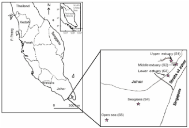Image for - Temporal and Spatial Distribution of Larval Fish Assemblage in Different Ecological Habitat in Johor Strait, Peninsular Malaysia