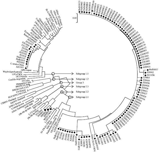 Image for - Phylogenetic Diversity of Classical Swine Fever Virus (CSFV) Field Isolates from Outbreaks in China Between 2008 and 2011