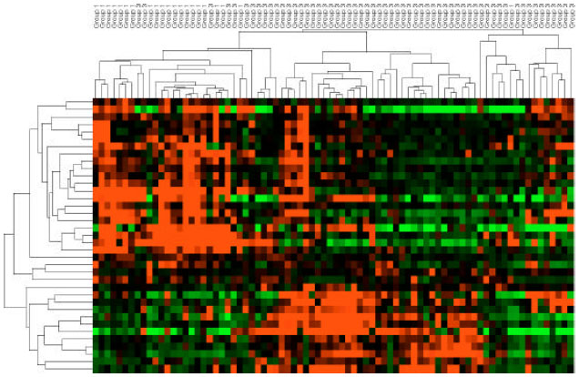 Image for - Plasma Proteomics Analysis of Dairy Cows with Milk Fever Using SELDI-TOF-MS
