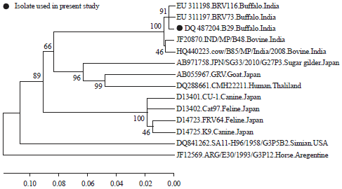 Image for - Genetic Characterization of an Emerging G3P[3] Rotavirus Genotype in Buffalo Calves, India