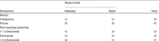 Image for - Does Parity and Nutrition in Early Pregnancy Affect Viability of Embryos in Both Rahmani and Barki Egyptian Sheep?