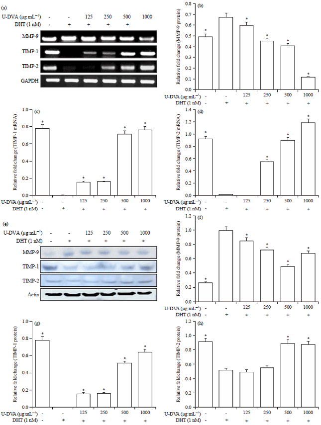Image for - Effect of Sika Deer (Cervus nippon) Velvet Antler on Prostate-specific Antigen Levels and Migration of LNCaP Human Prostate Cancer Cells