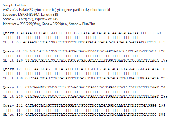 Image for - PCR-RFLP and Sequence Analysis of Hair Cytochrome b Gene for Identification of Animal Species