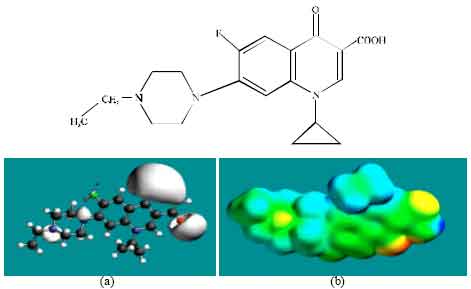 Image for - Molecular Modelling Analysis of the Metabolism of Enrofloxacin