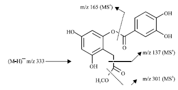 Image for - Isolation of a New Phenolic Compound, 3, 5-Dihydroxy- 2-(Methoxycarbonylmethyl)phenyl 3, 4-Dihydroxybenzoate, from Leaves of Actinidia chinensis (Kiwifruit)