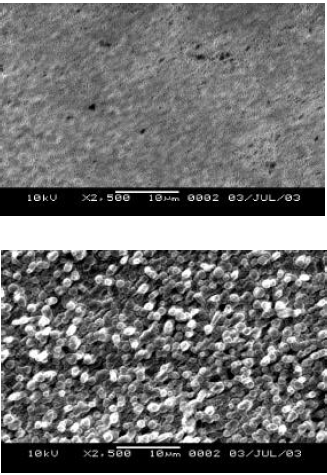 Image for - Morphology, Composition and Corrosion Properties of Electrodeposited Zn-Ni Alloys from Sulphate Electrolytes