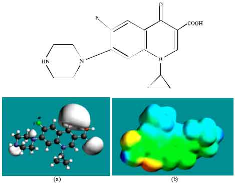 Image for - Molecular Modelling Analysis of the Metabolism of Enrofloxacin