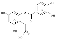 Image for - Isolation of a New Phenolic Compound, 3, 5-Dihydroxy- 2-(Methoxycarbonylmethyl)phenyl 3, 4-Dihydroxybenzoate, from Leaves of Actinidia chinensis (Kiwifruit)