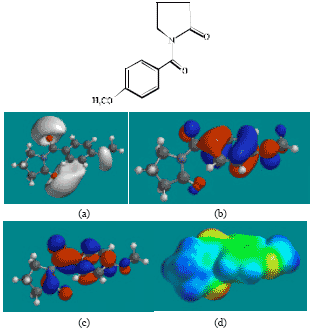 Image for - Molecular Modelling Analysis of the Metabolism of Aniracetam