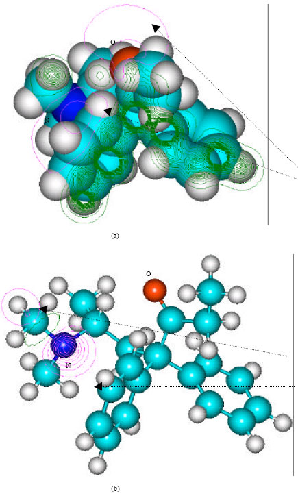 Image for - Molecular Modelling Analysis of the Metabolism of Methadone