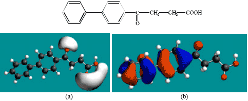 Image for - Molecular Modelling Analysis of the Metabolism of Fenbufen