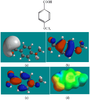 Image for - Molecular Modelling Analysis of the Metabolism of Aniracetam