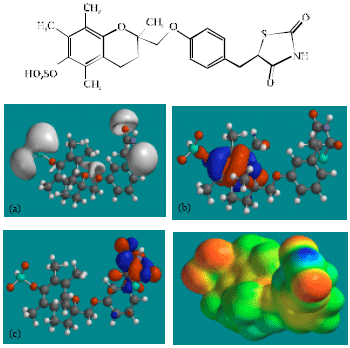 Image for - Molecular Modelling Analysis of the Metabolism of Troglitazone