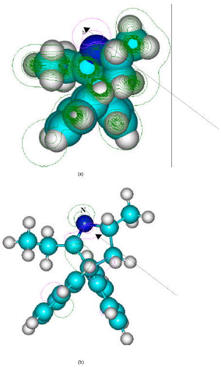 Image for - Molecular Modelling Analysis of the Metabolism of Methadone