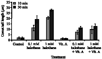 Image for - In vitro Genotoxic Effect of Anaesthetic Halothane on Rabbit Lymphocytes and the Protective Role of Vitamin A Supplementation