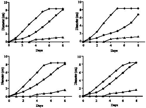Image for - In vitro Antifungal Effect of EDTA Disodium Salt in Tested Black Aspergilli