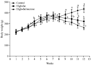 Image for - Effect of Feeding High-Fat with or Without Sucrose on the Development of Diabetes in Wistar Rats