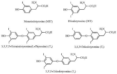 Image for - Kinetic and Mechanism Studies of the Reaction Between L-Tyrosine and Iodine on the Basis of UV-Vis Spectrophotometric Method