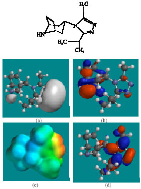 Image for - Molecular Modelling Analysis of the Metabolism of Maraviroc
