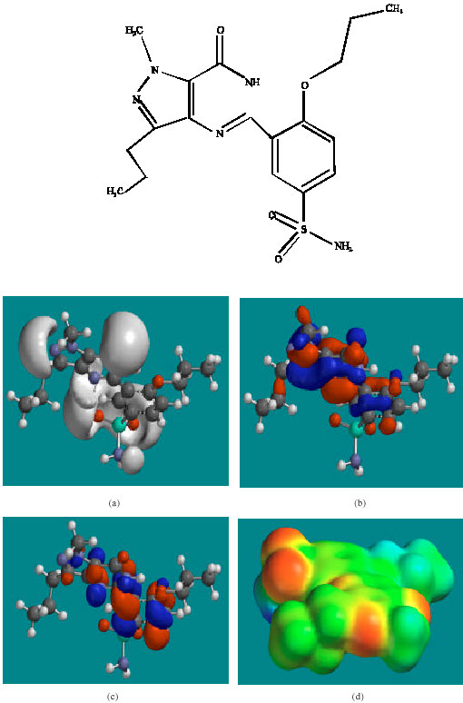 Image for - Molecular Modelling Analysis of the Metabolism of Udenafil