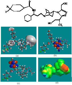 Image for - Molecular Modelling Analysis of the Metabolism of Maraviroc