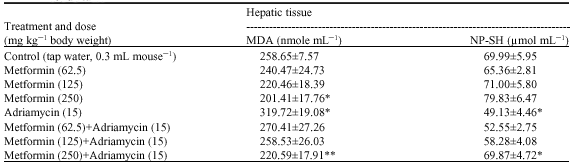 Image for - Protective Effect of Metformin on Cardiac and Hepatic Toxicity Induced by Adriamycin in Swiss Albino Mice

