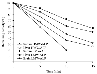 Image for - In vivo and in vitro Studies of Kinetic Changes of Serum, Liver and Brain High and Low Molecular Weight Alkaline Phosphatase Following Aluminium Exposure in Rat