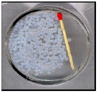 Image for - Chitosan-silver Nanoparticles Composite as Point-of-use Drinking Water Filtration System for Household to Remove Pesticides in Water