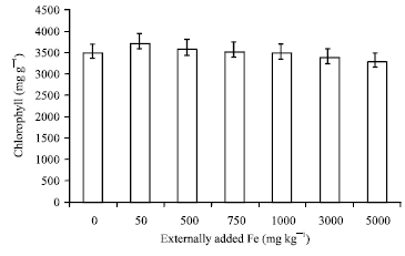 Image for - Impact of Iron Toxicity on Certain Enzymes and Biochemical Parameters of Tea