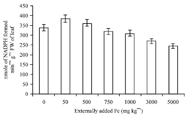 Image for - Impact of Iron Toxicity on Certain Enzymes and Biochemical Parameters of Tea