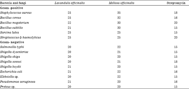 Image for - Antibacterial Activity of Lavandula officinalis and Melissa officinalis Against Some Human Pathogenic Bacteria