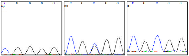 Image for - Discrimination of Codon 72 p53 Polymorphisms using High Resolution Melting Curve Method