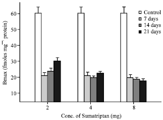 Image for - Differential Effect of Sumatriptan on Cerebellar 5-HT1B Receptors  in Rat Brain