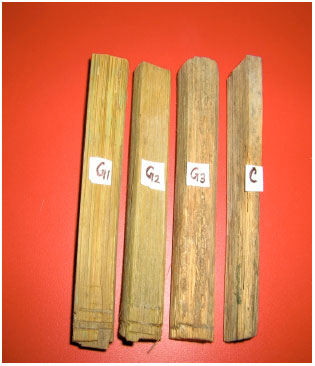 Image for - Studies of Dimensional Stability, Thermal Stability and Biodegradation Resistance  Capacity of Chemically Treated Bamboo