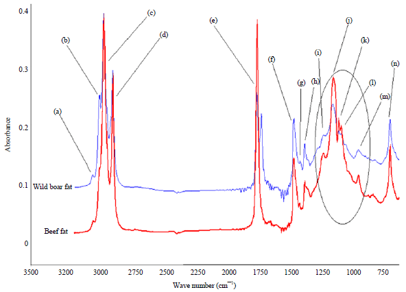 Image for - FTIR Spectroscopy in Combination with Chemometrics for Analysis of Wild Boar Meat in Meatball Formulation