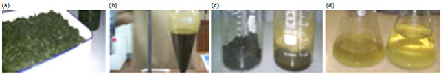 Image for - Alkaline and Acid Catalyzed Transesterification Bioprocess in Biodiesel Preparation from Fresh Water Algae
