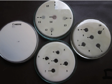 Image for - Production and Characterization of Thermotolerant-Organic Solvent Resistant Acidic Protease by Pseudomonas aeruginosa RGSS-09 Isolated from Dairy Sludge