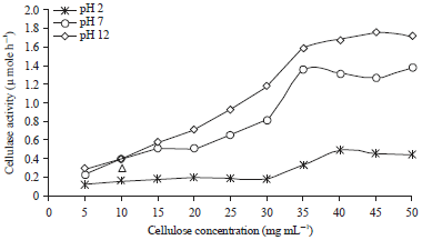 Image for - Kinetics Studies of the Partially Purified Cellulase Produced During the Degradation of Rice Husk Pre-Treated at Different pHs Using Mucor indicus