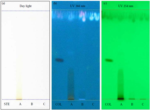 Image for - HPTLC Analysis of Stem Bark Extracts of Terminalia chebula Retz. for Alkaloid Profile