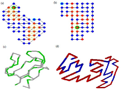 Image for - A Novel Conformation Generation Framework for De novo Protein Structure Prediction Using Hydrophobic-Polar Model