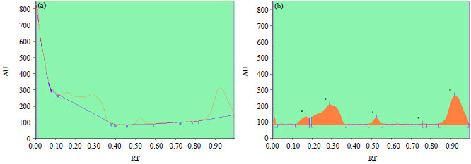 Image for - HPTLC Analysis of Stem Bark Extracts of Terminalia chebula Retz. for Alkaloid Profile
