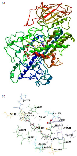 Image for - Cis-parinaric Acid: A Non-redox Inhibitor of Lipoxygenase-1
