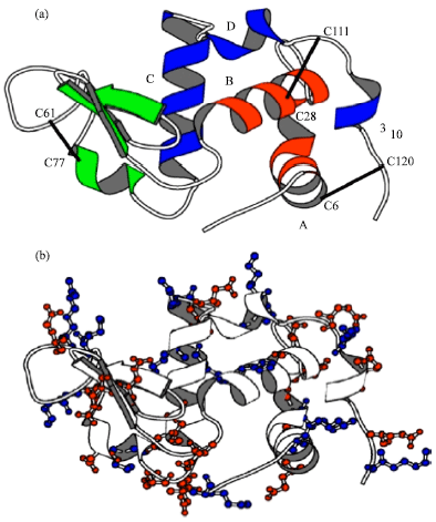 Image for - Compositional Analysis α-Lactalbumin