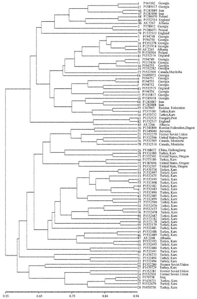 Image for - Genetic Diversity of Persian Wheat (Triticum turgidum ssp. carthlicum) Accessions by EST-SSR Markers