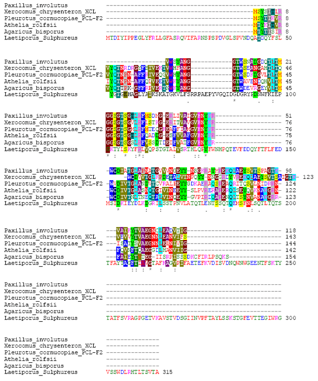Image for - The Mushroom Lectins Show Three Types of Conserved Domain in a Bioinformatics Analysis