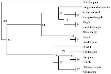 Image for - Comparative Study of RAPD and ISSR Markers to Assess the Genetic Diversity of Betel Vine (Piper betle L.) in Orissa, India