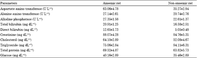 Image for - Biochemical Studies of Iron Fortified Nigerian Rice Fed to Phenylhydrazine Induced Anaemic Rats