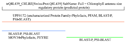 Image for - The TLA1 Protein Family Members Contain a Variant of the Plain MOV34/MPN Domain